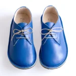 5427645375628456257_52375