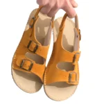 368572435442_248724087_24jwkhwe