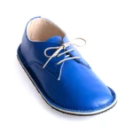 5427645375628456257_52375